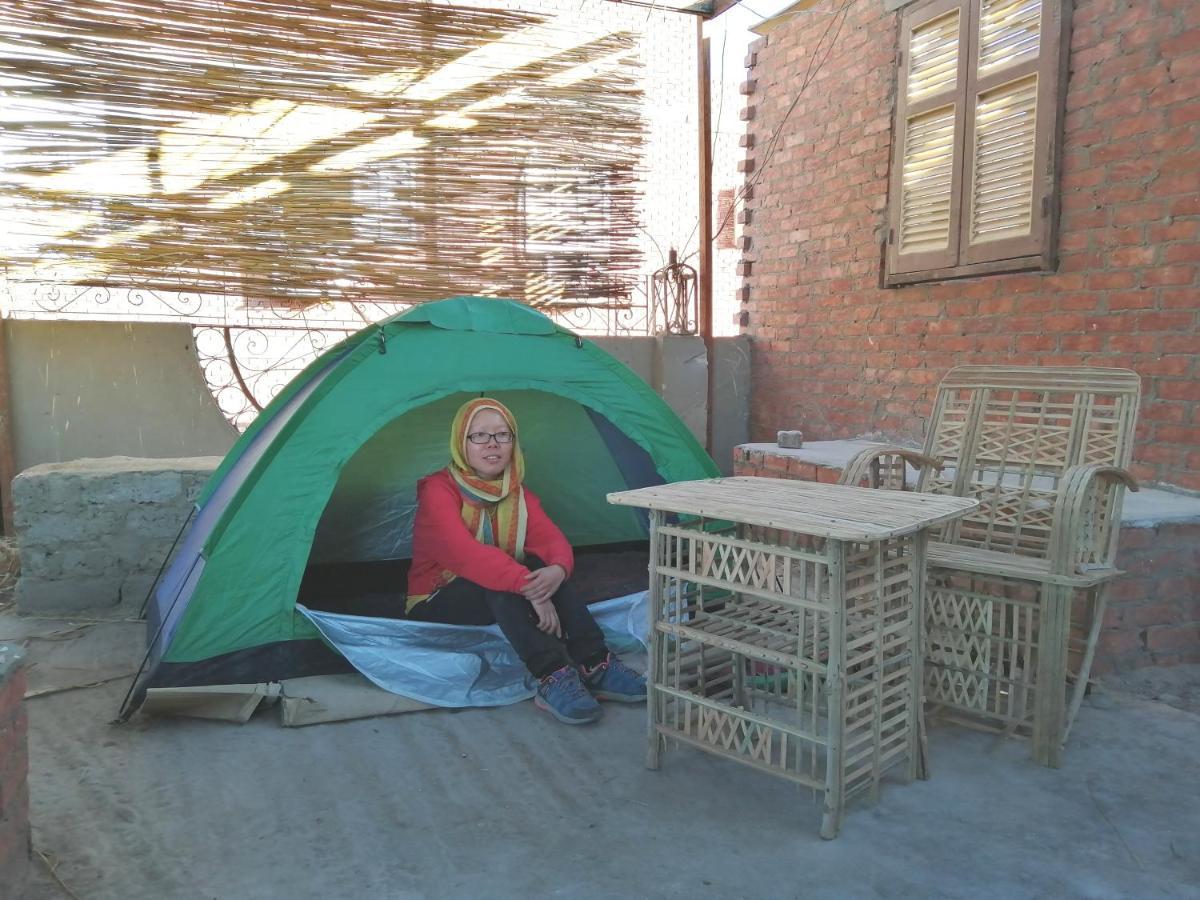 Hostel David